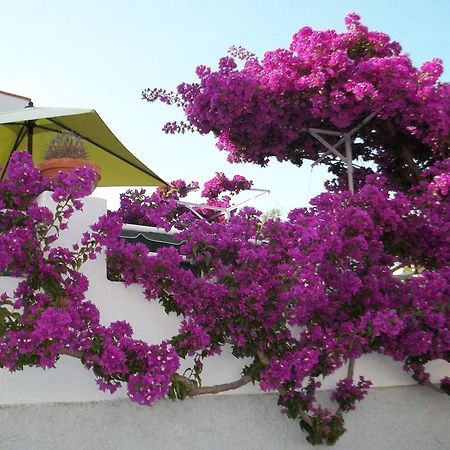 Hotel Villa Cecilia Ischia Exteriér fotografie